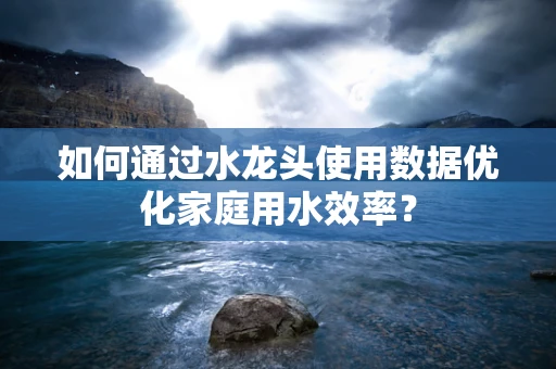 如何通过水龙头使用数据优化家庭用水效率？