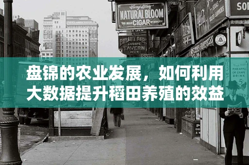 盘锦的农业发展，如何利用大数据提升稻田养殖的效益？