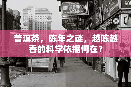 普洱茶，陈年之谜，越陈越香的科学依据何在？