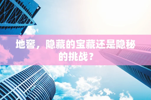 地窖，隐藏的宝藏还是隐秘的挑战？