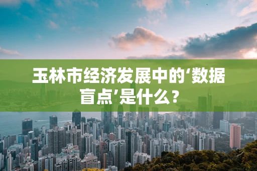 玉林市经济发展中的‘数据盲点’是什么？