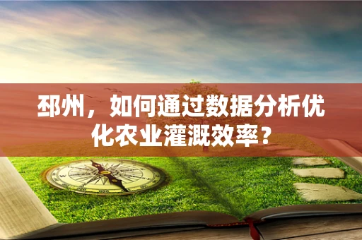 邳州，如何通过数据分析优化农业灌溉效率？