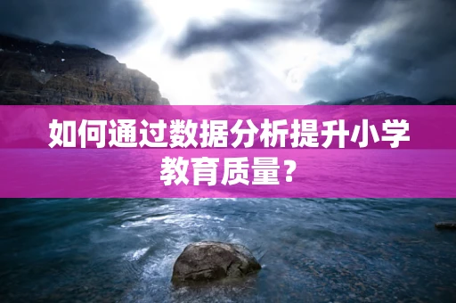 如何通过数据分析提升小学教育质量？