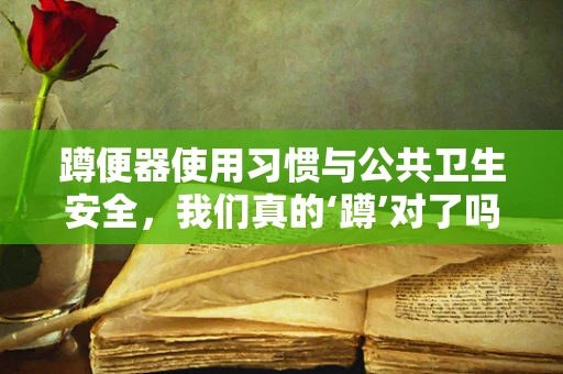 蹲便器使用习惯与公共卫生安全，我们真的‘蹲’对了吗？