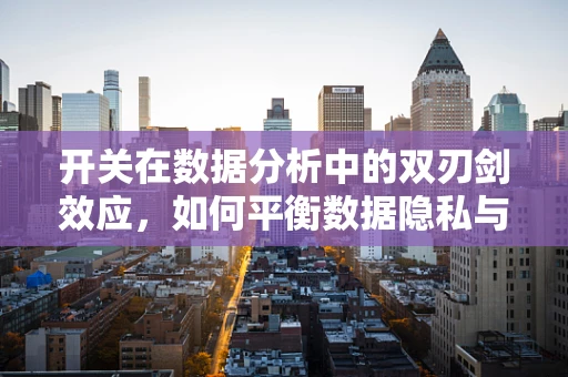 开关在数据分析中的双刃剑效应，如何平衡数据隐私与决策效率？