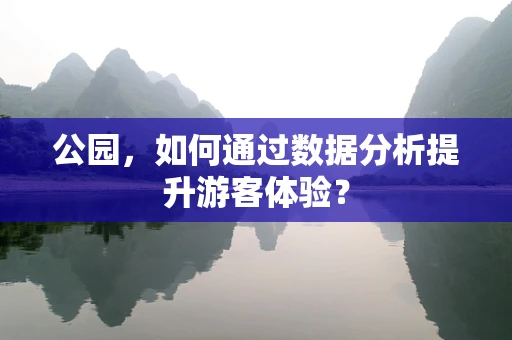 公园，如何通过数据分析提升游客体验？