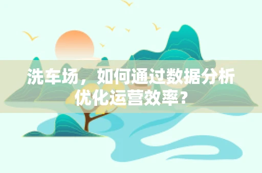 洗车场，如何通过数据分析优化运营效率？