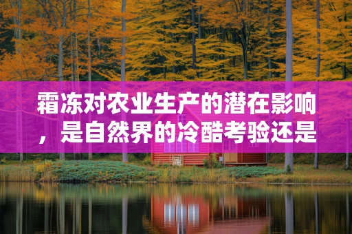 霜冻对农业生产的潜在影响，是自然界的冷酷考验还是可预测的挑战？