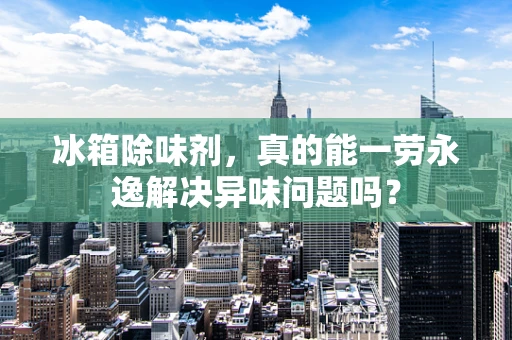 冰箱除味剂，真的能一劳永逸解决异味问题吗？