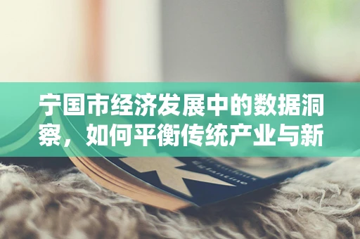 宁国市经济发展中的数据洞察，如何平衡传统产业与新兴科技？