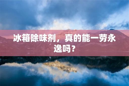 冰箱除味剂，真的能一劳永逸吗？