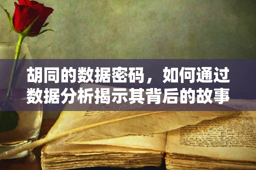 胡同的数据密码，如何通过数据分析揭示其背后的故事？