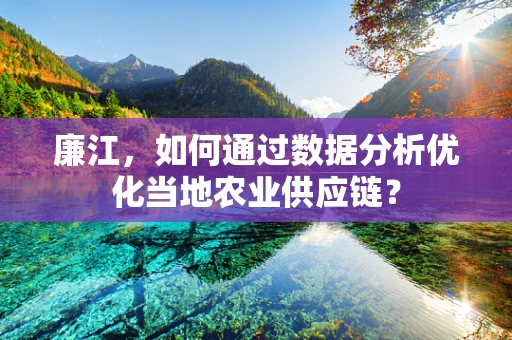 廉江，如何通过数据分析优化当地农业供应链？