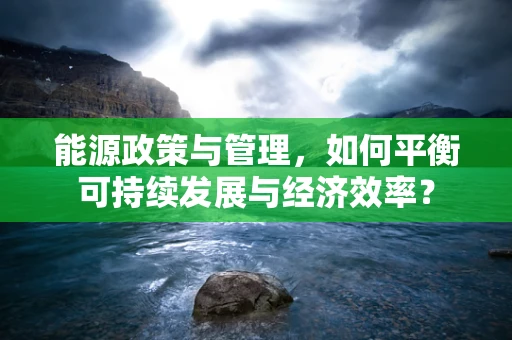 能源政策与管理，如何平衡可持续发展与经济效率？