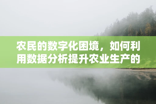 农民的数字化困境，如何利用数据分析提升农业生产的效率与可持续性？