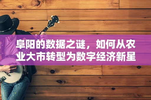 阜阳的数据之谜，如何从农业大市转型为数字经济新星？