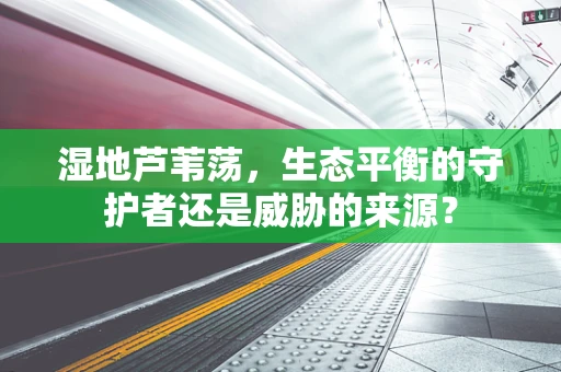 湿地芦苇荡，生态平衡的守护者还是威胁的来源？