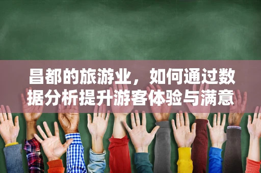 昌都的旅游业，如何通过数据分析提升游客体验与满意度？