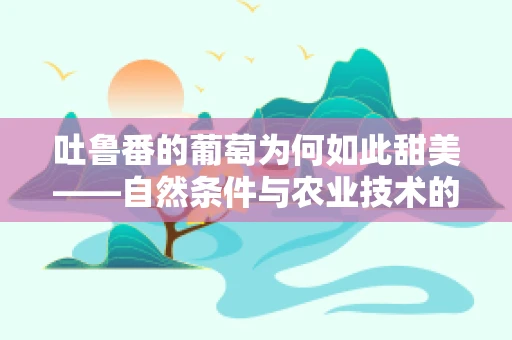 吐鲁番的葡萄为何如此甜美——自然条件与农业技术的双重影响？