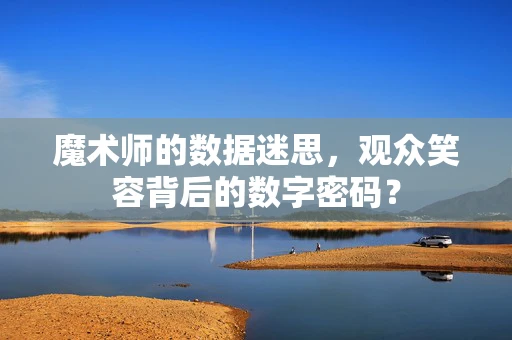 魔术师的数据迷思，观众笑容背后的数字密码？