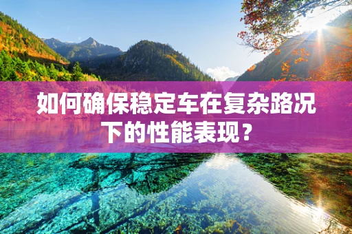 如何确保稳定车在复杂路况下的性能表现？