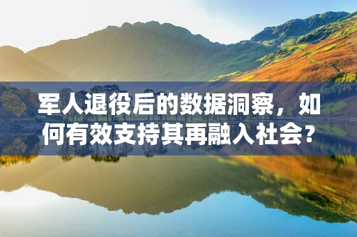 军人退役后的数据洞察，如何有效支持其再融入社会？