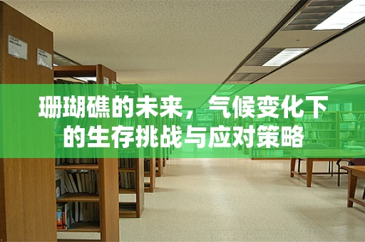 珊瑚礁的未来，气候变化下的生存挑战与应对策略