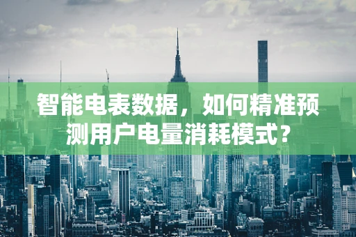 智能电表数据，如何精准预测用户电量消耗模式？