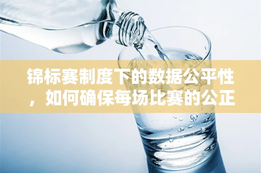 锦标赛制度下的数据公平性，如何确保每场比赛的公正性？