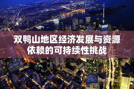 双鸭山地区经济发展与资源依赖的可持续性挑战