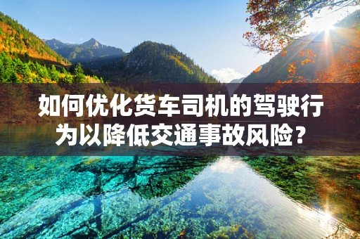 如何优化货车司机的驾驶行为以降低交通事故风险？