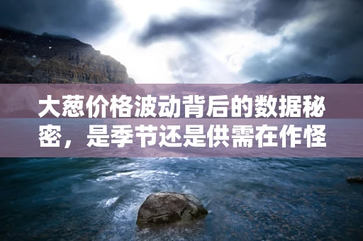 大葱价格波动背后的数据秘密，是季节还是供需在作怪？