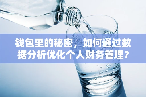 钱包里的秘密，如何通过数据分析优化个人财务管理？