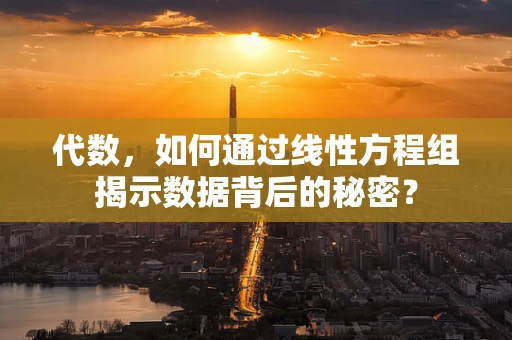 代数，如何通过线性方程组揭示数据背后的秘密？