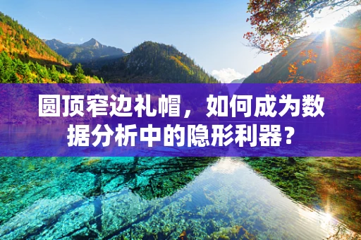 圆顶窄边礼帽，如何成为数据分析中的隐形利器？