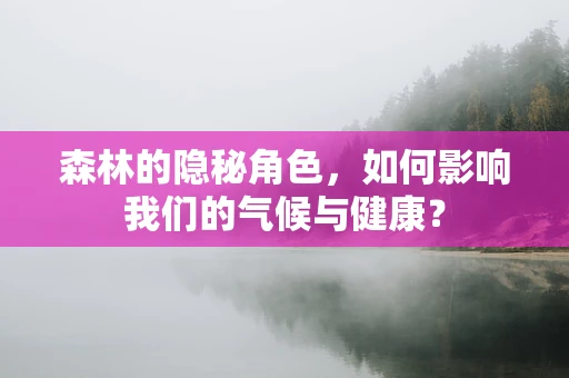 森林的隐秘角色，如何影响我们的气候与健康？