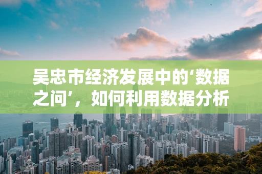 吴忠市经济发展中的‘数据之问’，如何利用数据分析推动地方产业升级？