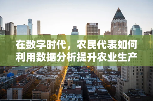 在数字时代，农民代表如何利用数据分析提升农业生产效率？