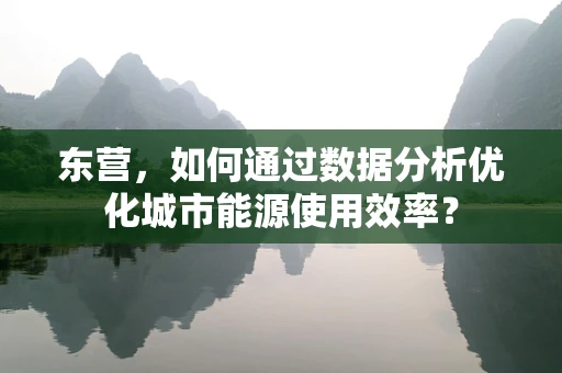 东营，如何通过数据分析优化城市能源使用效率？