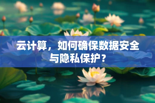 云计算，如何确保数据安全与隐私保护？