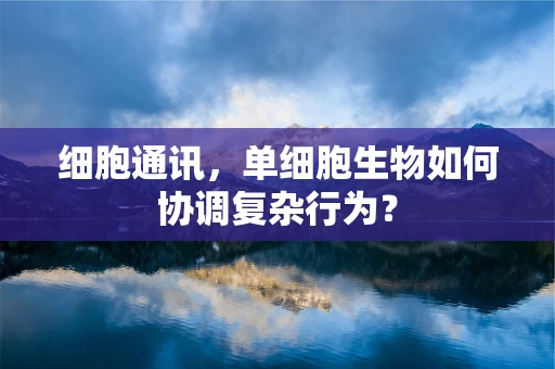 细胞通讯，单细胞生物如何协调复杂行为？