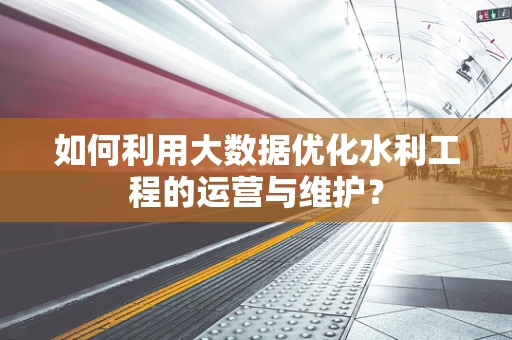 如何利用大数据优化水利工程的运营与维护？