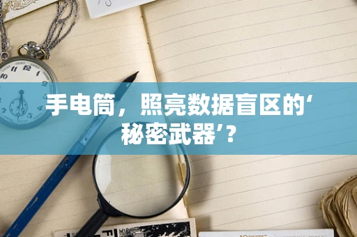 手电筒，照亮数据盲区的‘秘密武器’？