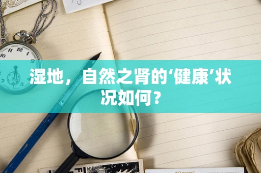 湿地，自然之肾的‘健康’状况如何？