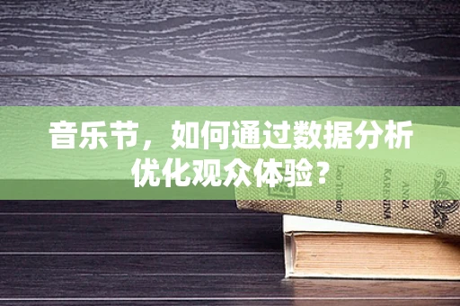 音乐节，如何通过数据分析优化观众体验？