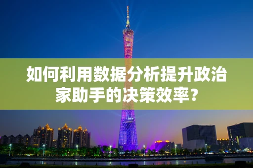 如何利用数据分析提升政治家助手的决策效率？