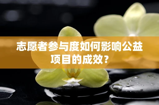 志愿者参与度如何影响公益项目的成效？