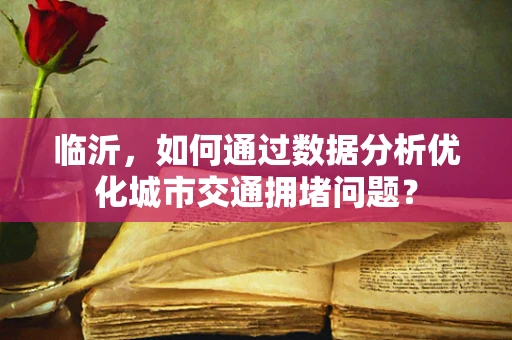 临沂，如何通过数据分析优化城市交通拥堵问题？