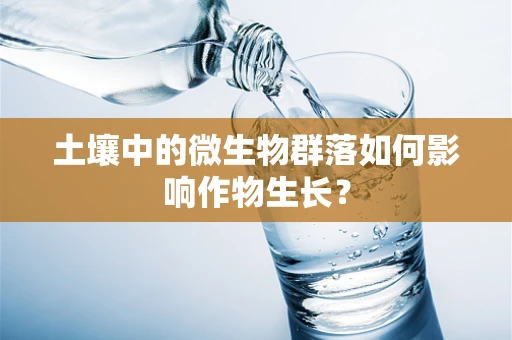 土壤中的微生物群落如何影响作物生长？