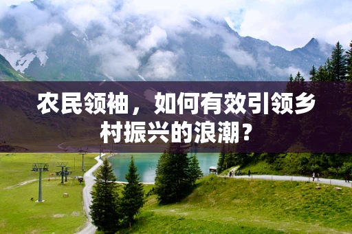 农民领袖，如何有效引领乡村振兴的浪潮？